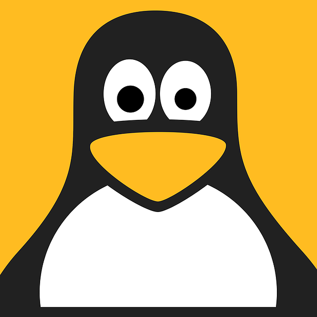 Linux je najúspešnejší príklad slobodného softvéru a vývojového modelu open source