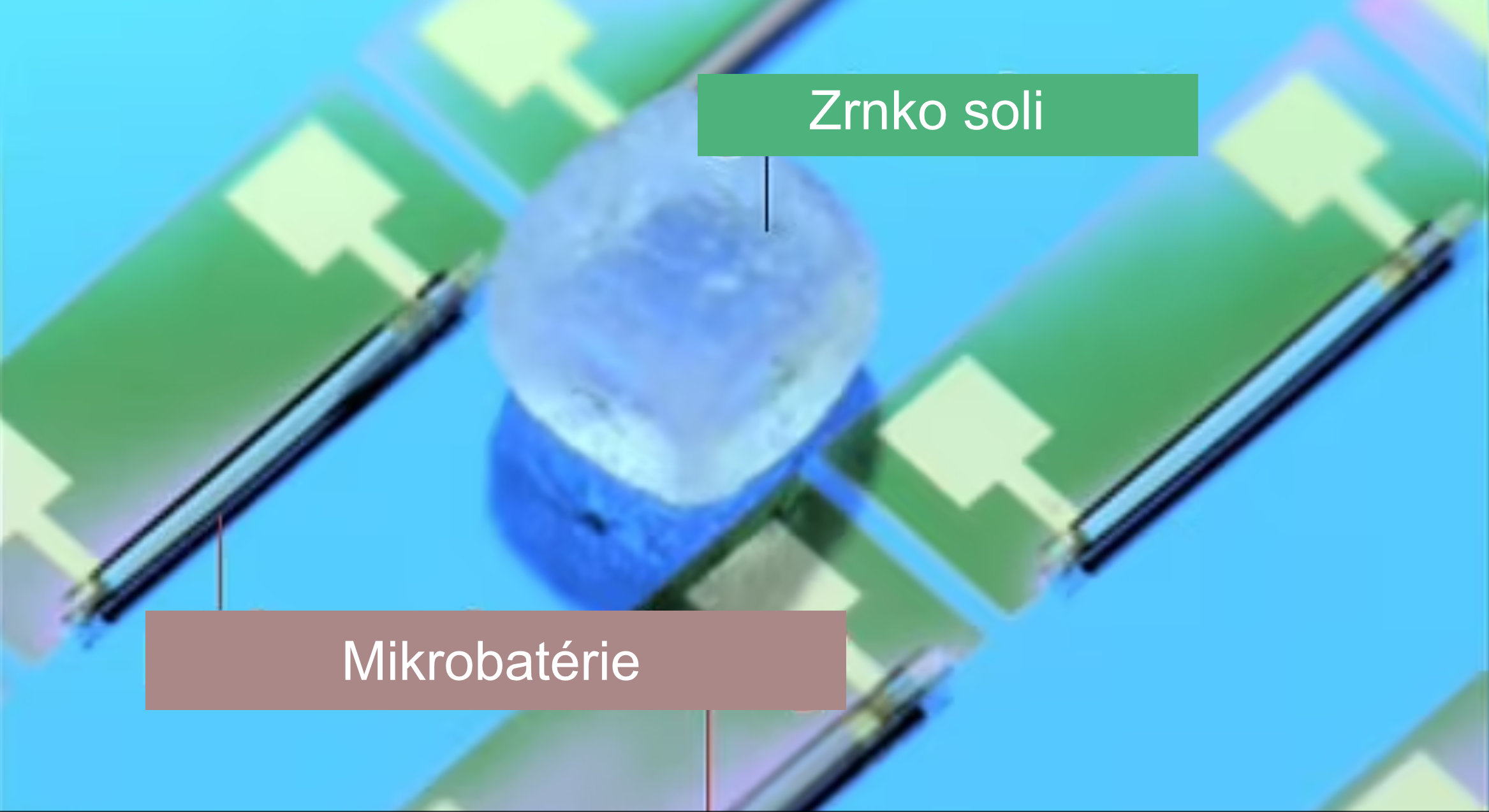 Najmenšia batéria na svete môže produkovať 100 mikrowatthodín na štvorcový centimeter